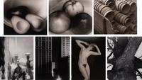 A group of fourteen photographs (from Twenty-Five Photographs printed by George Tice with labels signed by George Tice and Joanna Steichen)