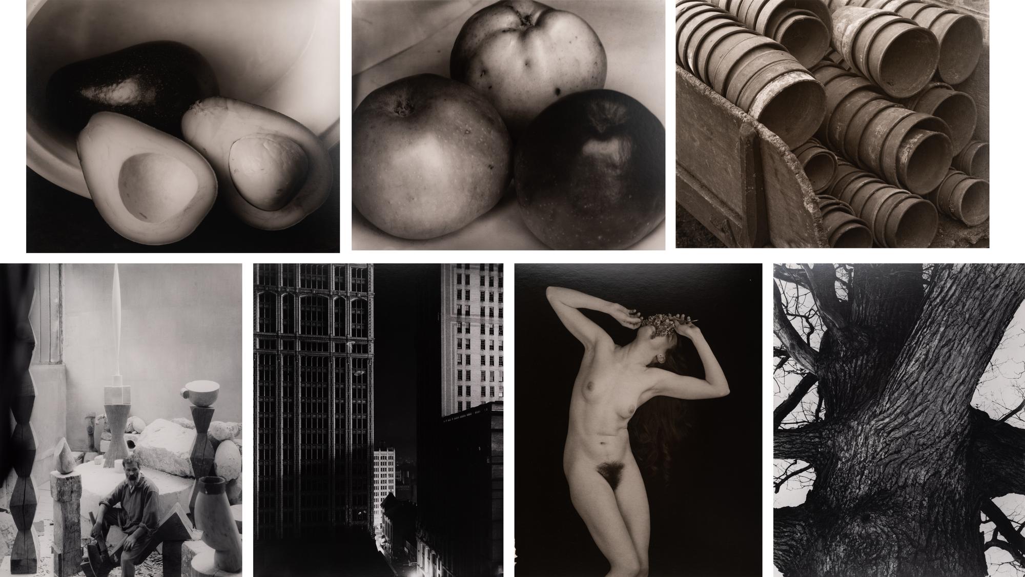 A group of fourteen photographs (from Twenty-Five Photographs printed by George Tice with labels signed by George Tice and Joanna Steichen)