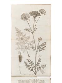 [BOTANY -- PLANT HYBRIDIZATION]. A group of 25 works, including: