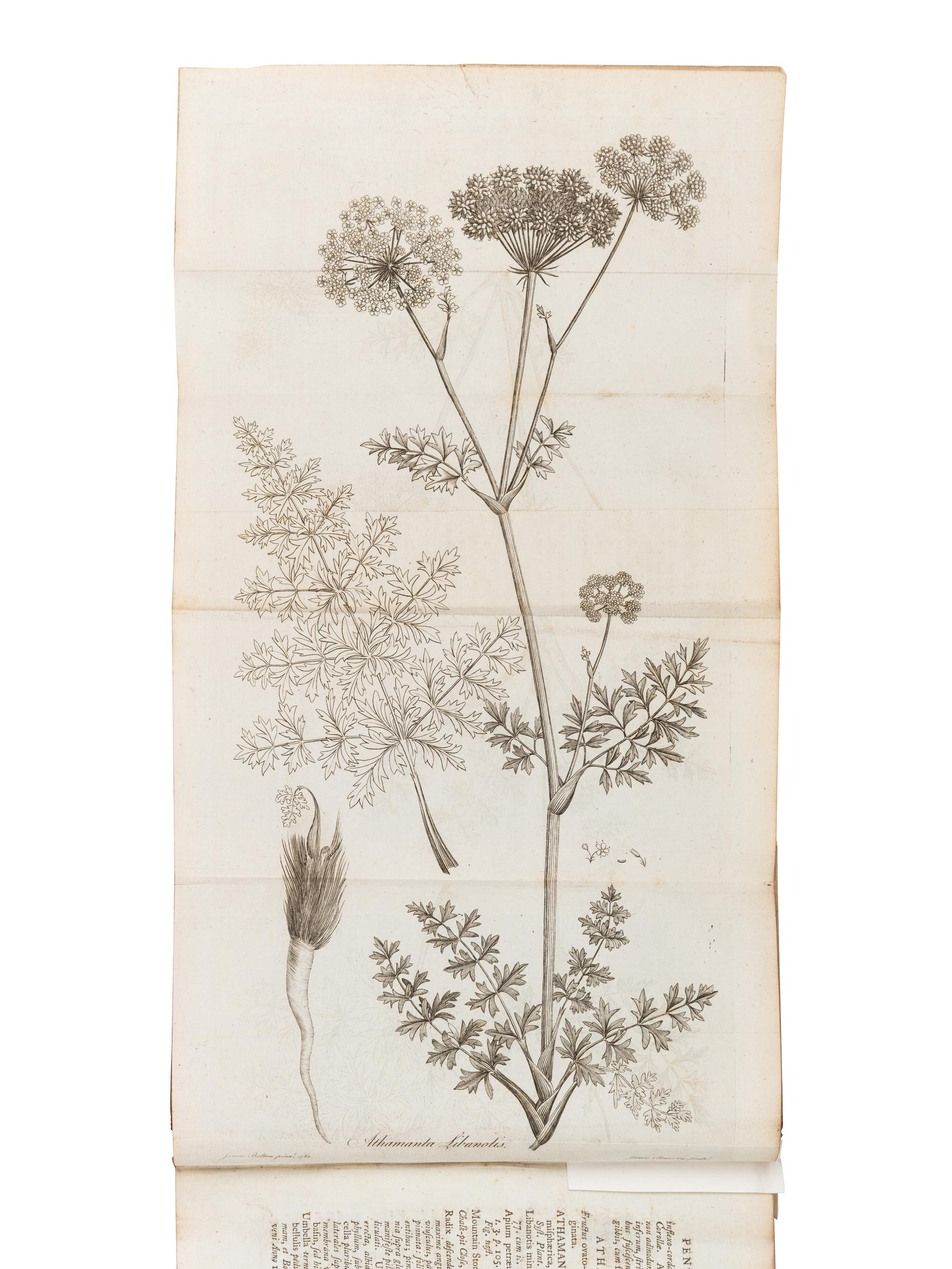 [BOTANY -- PLANT HYBRIDIZATION]. A group of 25 works, including: