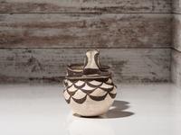 Zuni Pottery Vessel