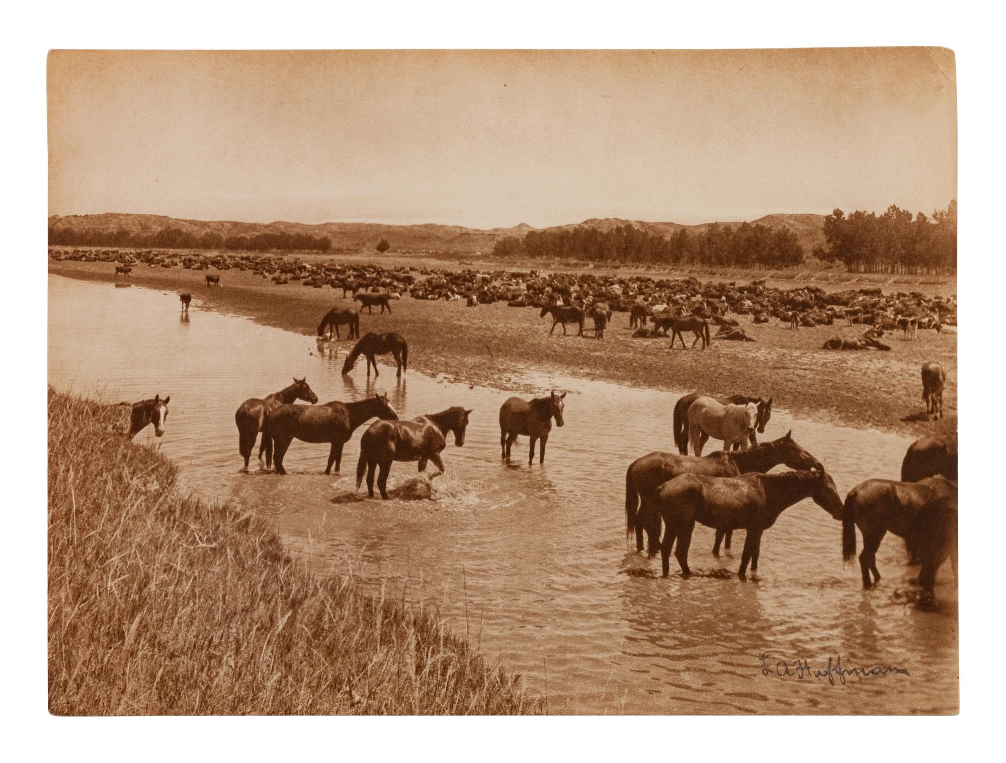 Group of Four Photographs