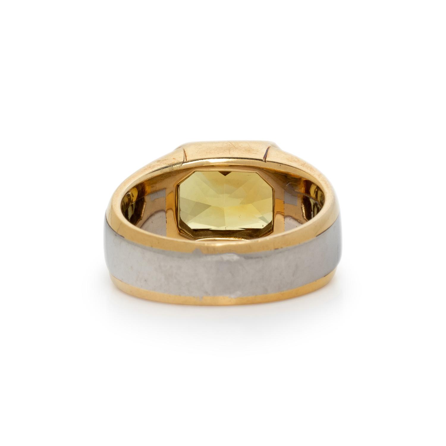 THOMAS LEYSER, MALI GARNET, YELLOW GOLD, AND PLATINUM RING