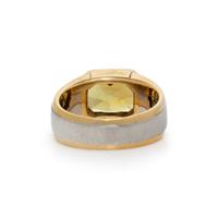 THOMAS LEYSER, MALI GARNET, YELLOW GOLD, AND PLATINUM RING