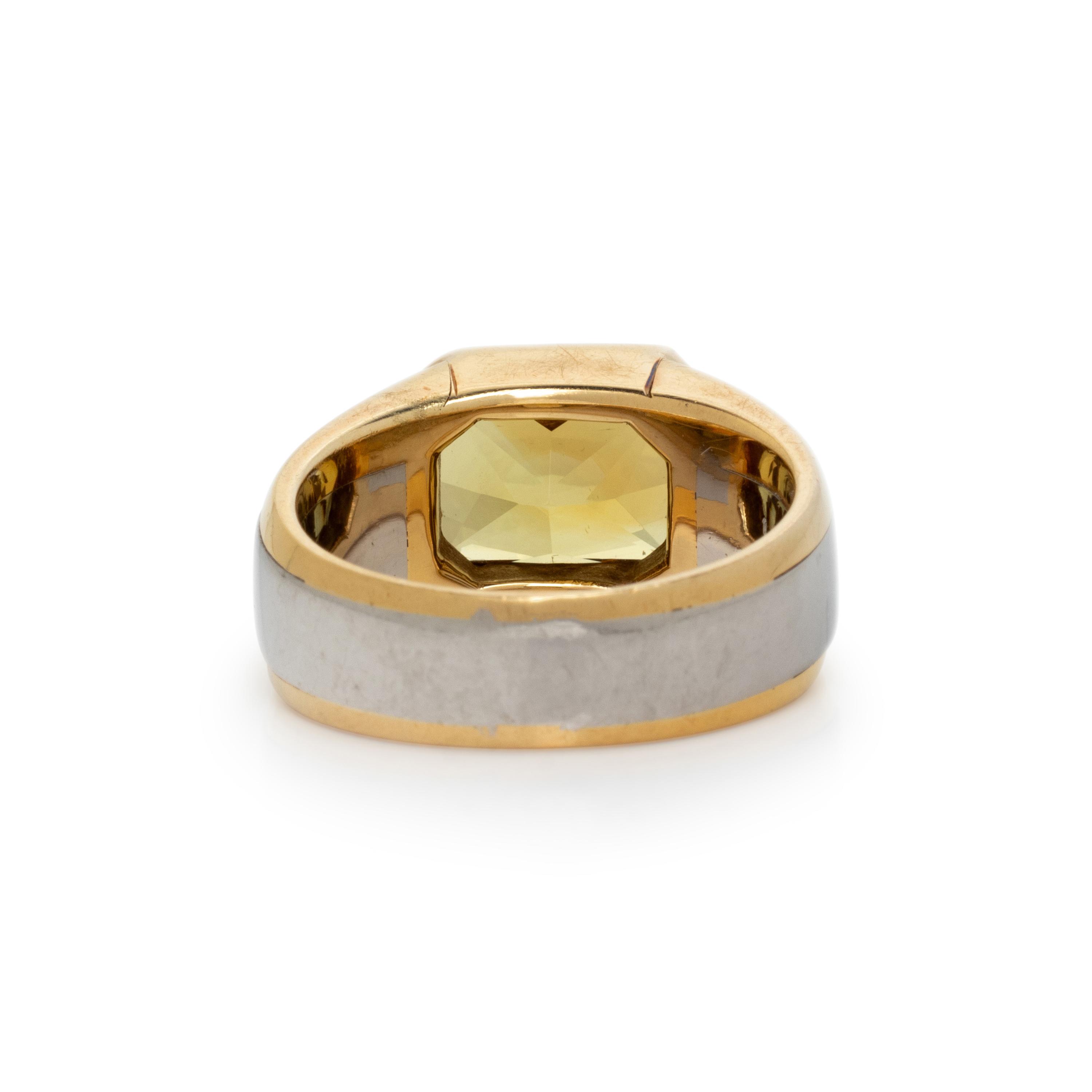 THOMAS LEYSER, MALI GARNET, YELLOW GOLD, AND PLATINUM RING