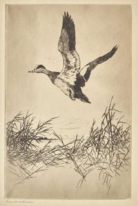 [Prints] Benson, Frank W.: Group of 4 Sporting Prints