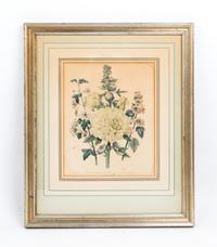 A Collection of Framed Botanical Prints Height of first pair 9 3/4 x width 7 3/4 inches.