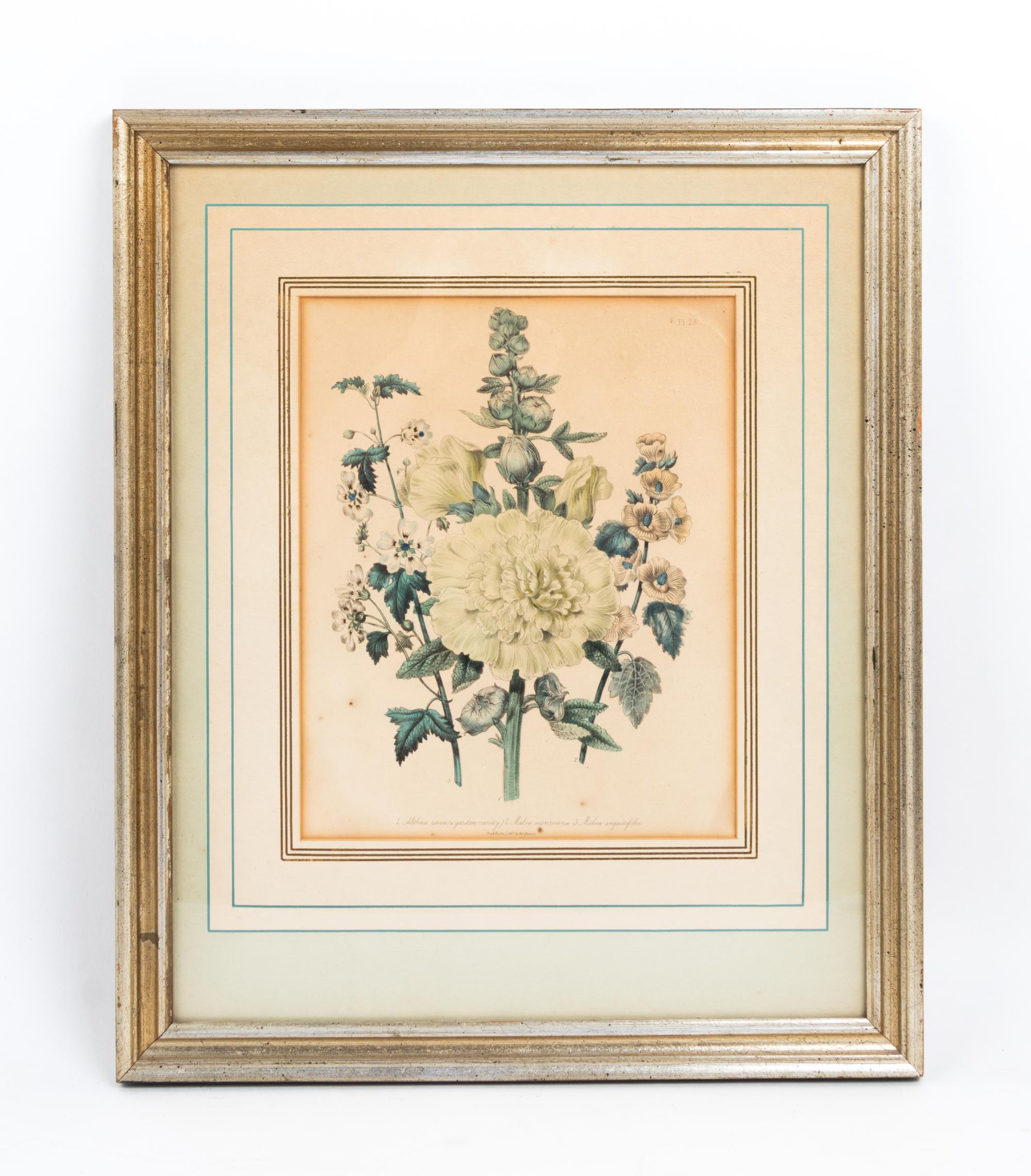 A Collection of Framed Botanical Prints Height of first pair 9 3/4 x width 7 3/4 inches.