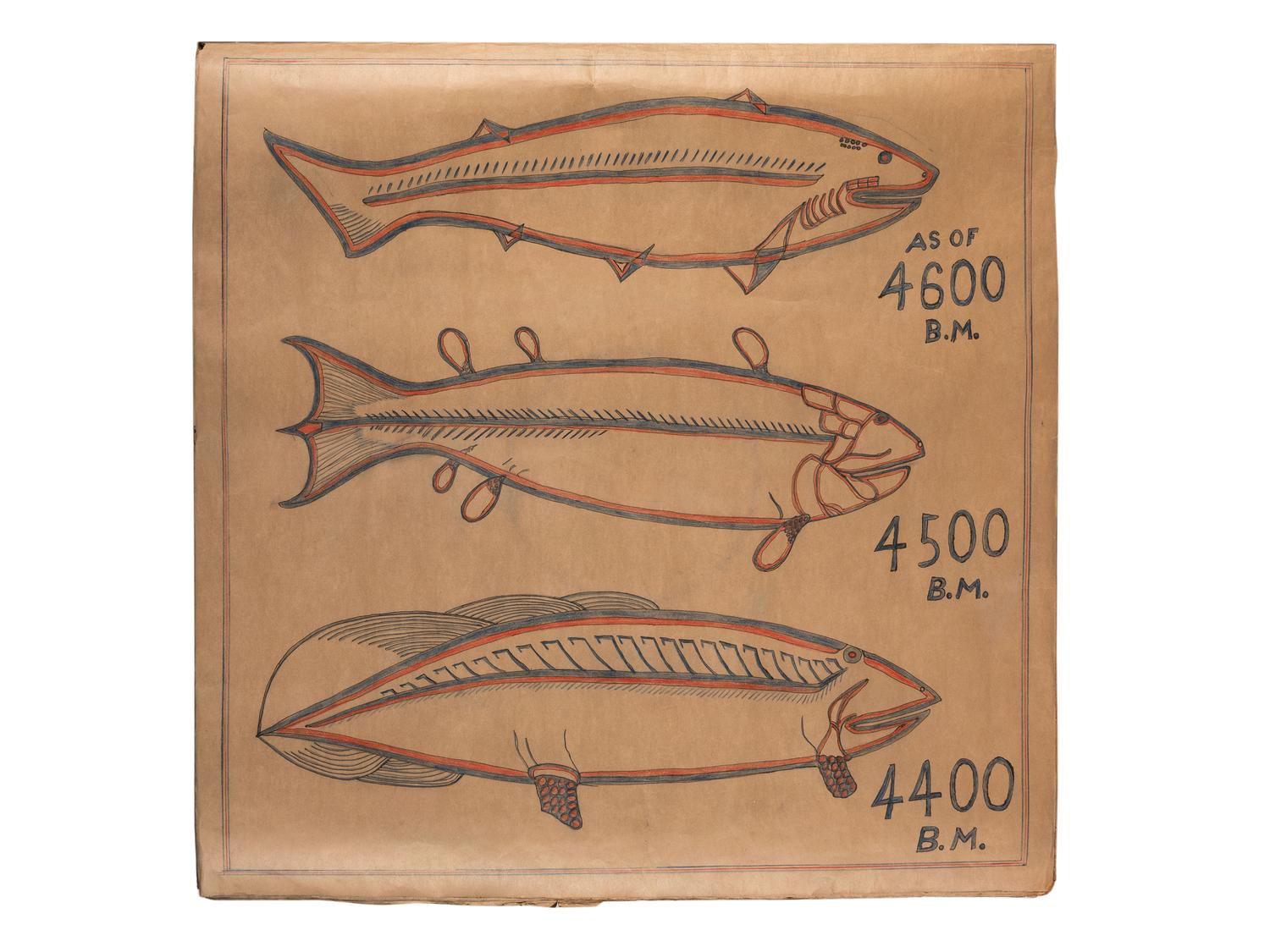 A Bound Set of Folk Art Scientific Drawings