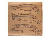 A Bound Set of Folk Art Scientific Drawings