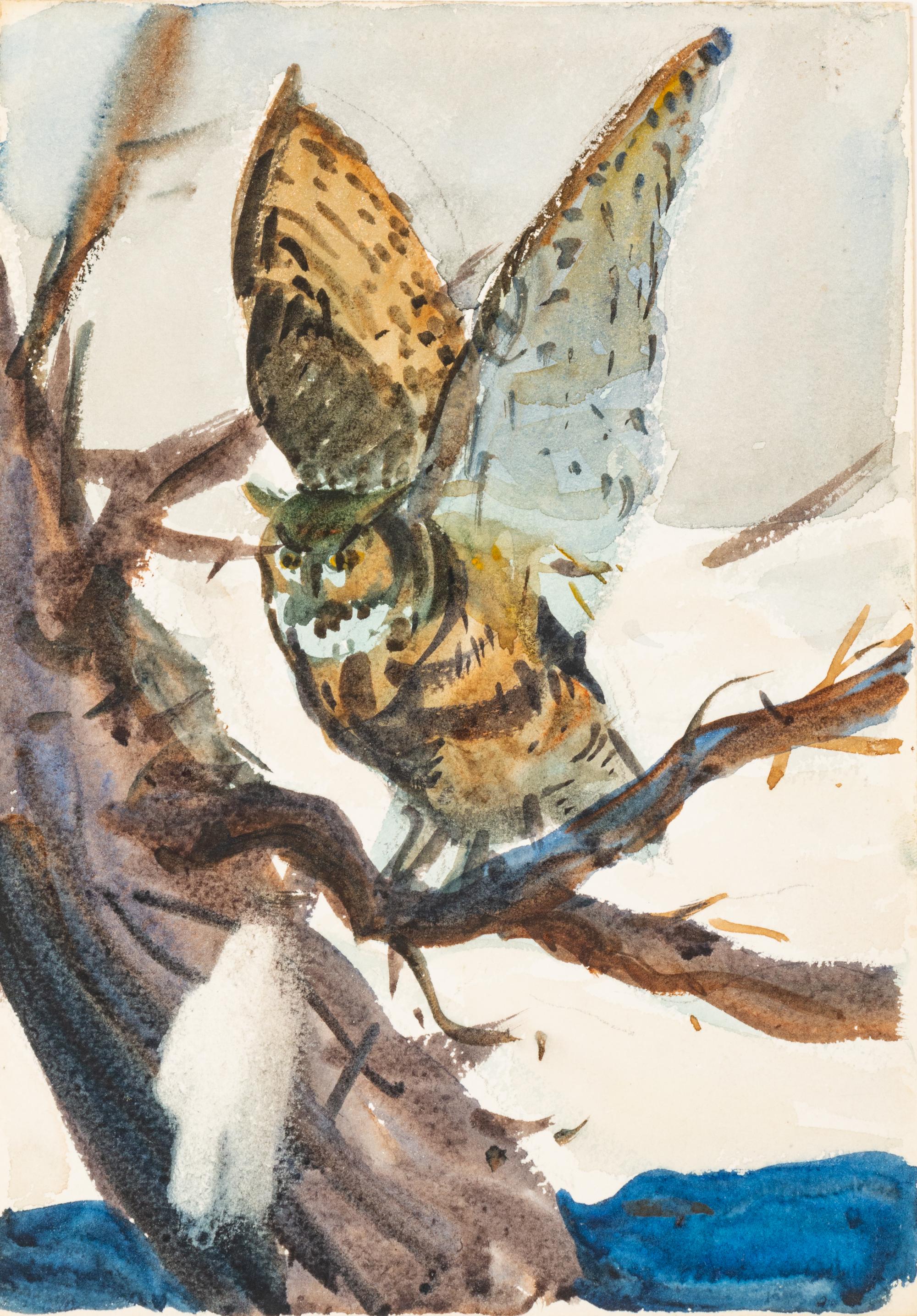The Great Horned Owl