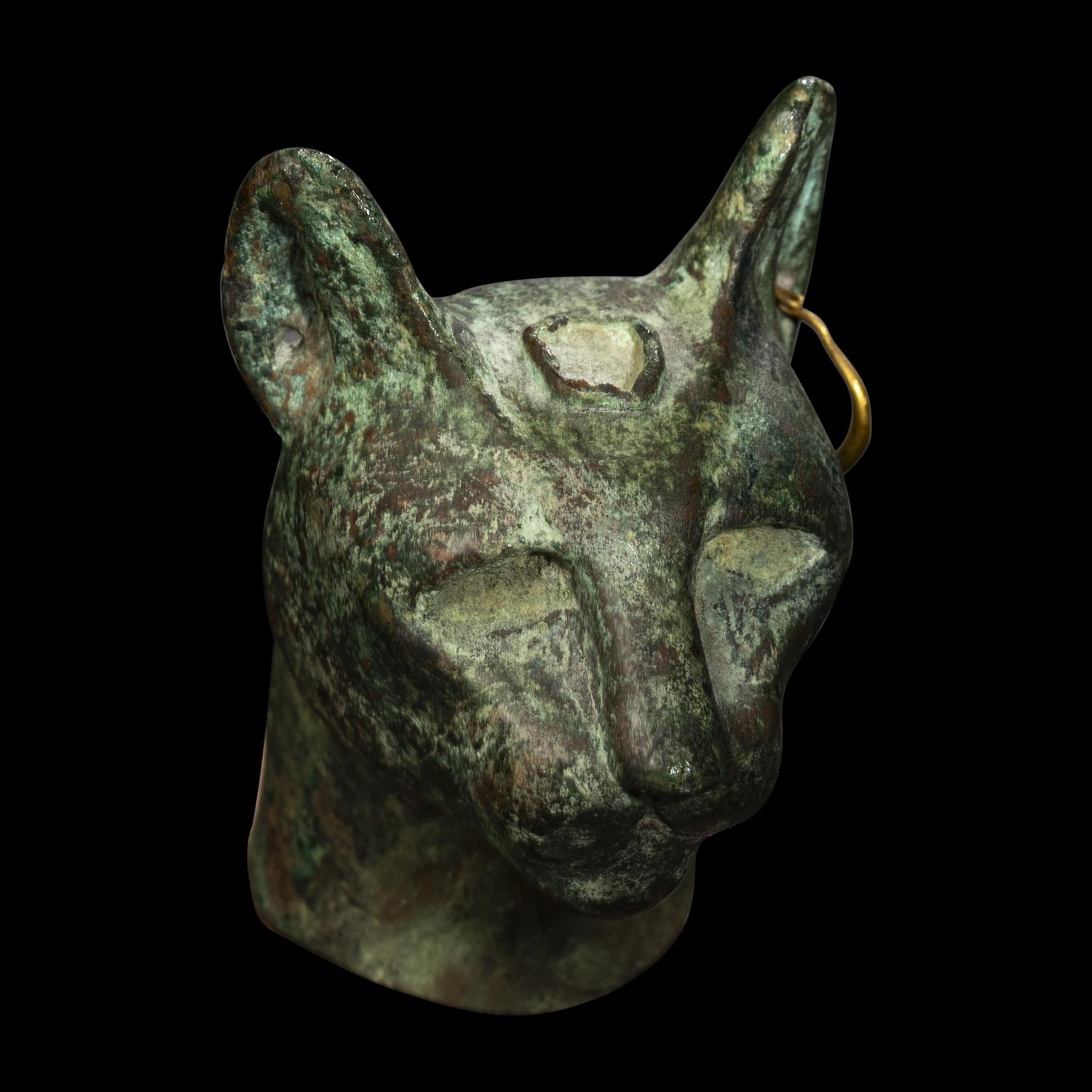 An Egyptian Bronze Head of a Cat