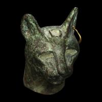 An Egyptian Bronze Head of a Cat