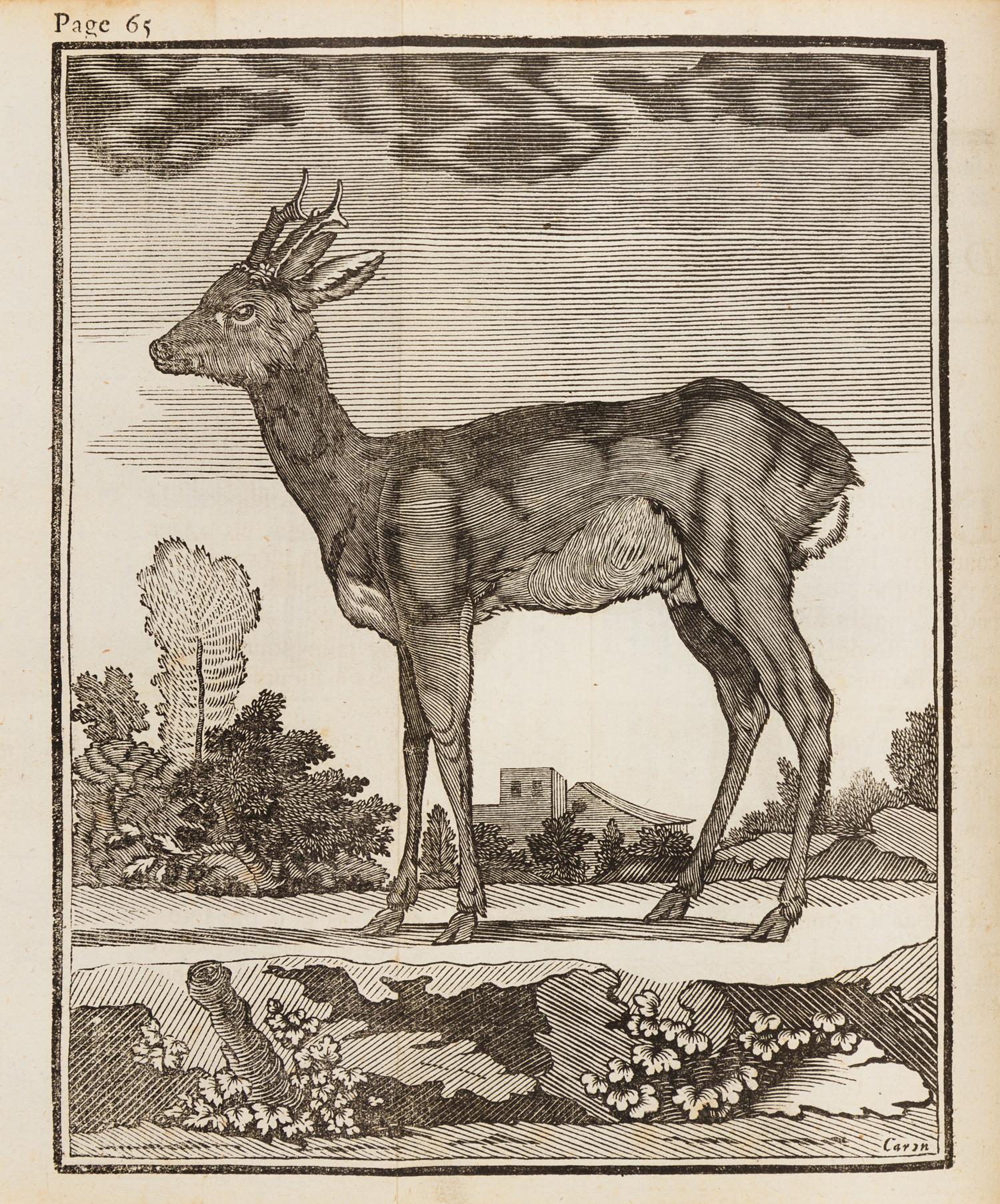 LE VERRIER DE LA CONTERIE, Jean Baptiste Jacques (1718-1783). Venerie Normande, ou l'Ecole de la chasse aux chiens courants. 1763.