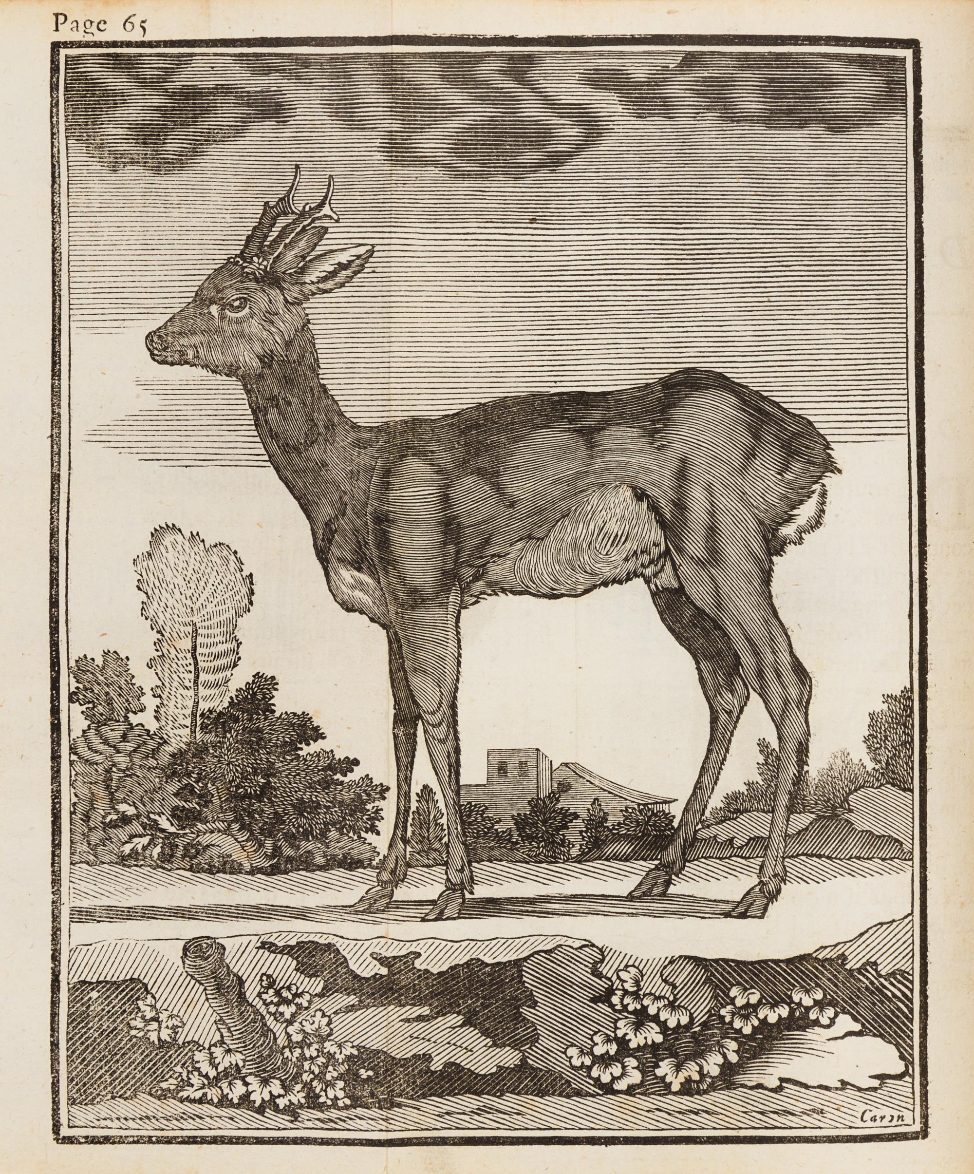 LE VERRIER DE LA CONTERIE, Jean Baptiste Jacques (1718-1783). Venerie Normande, ou l'Ecole de la chasse aux chiens courants. 1763.