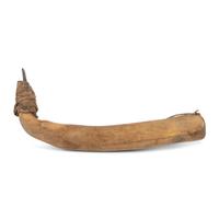 Plains Elk Antler Hide Scraper