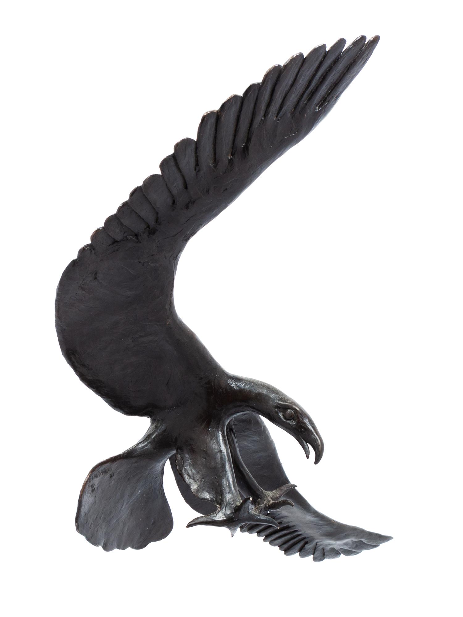 Eagle, edition 16/20