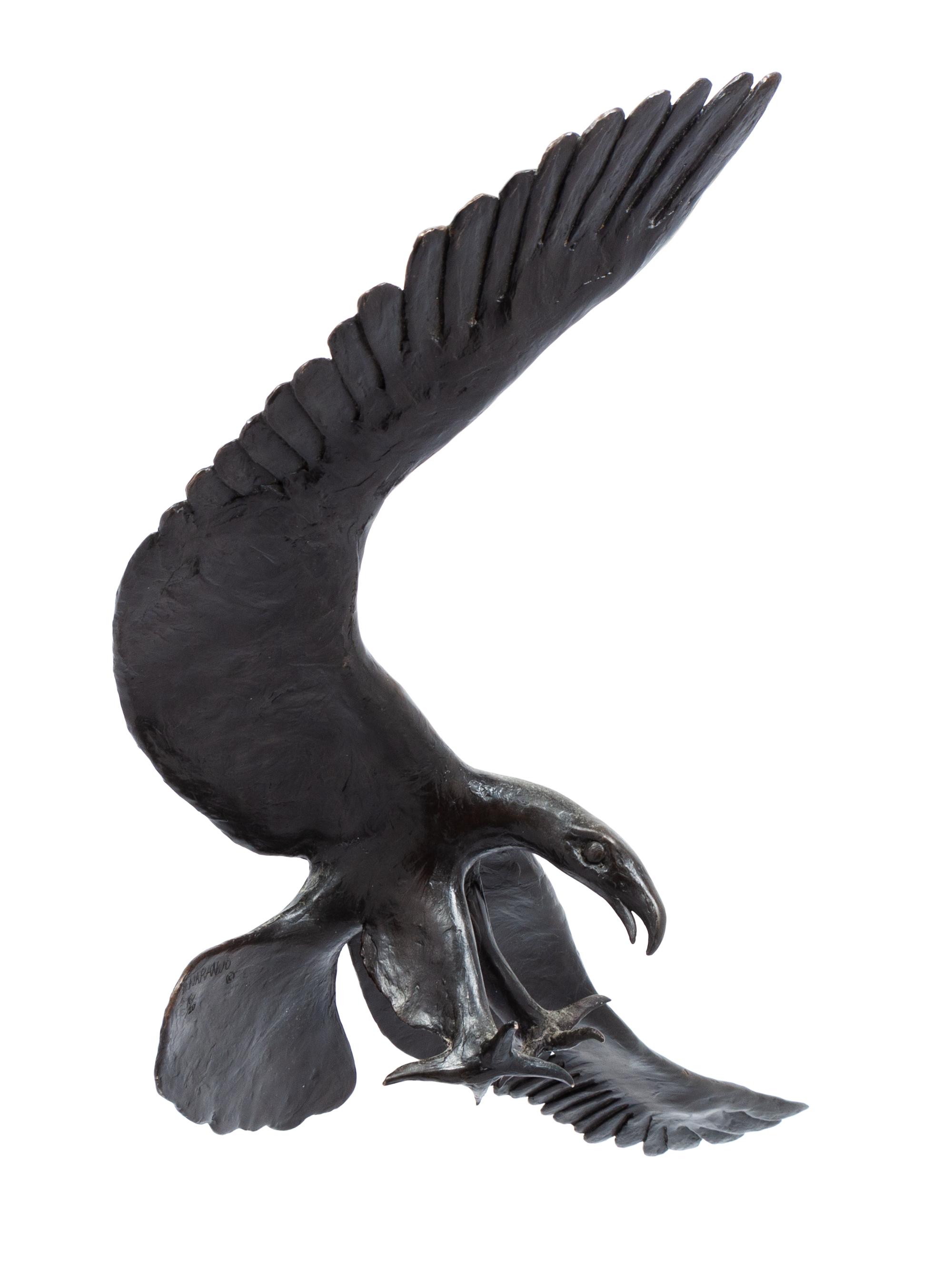 Eagle, edition 16/20