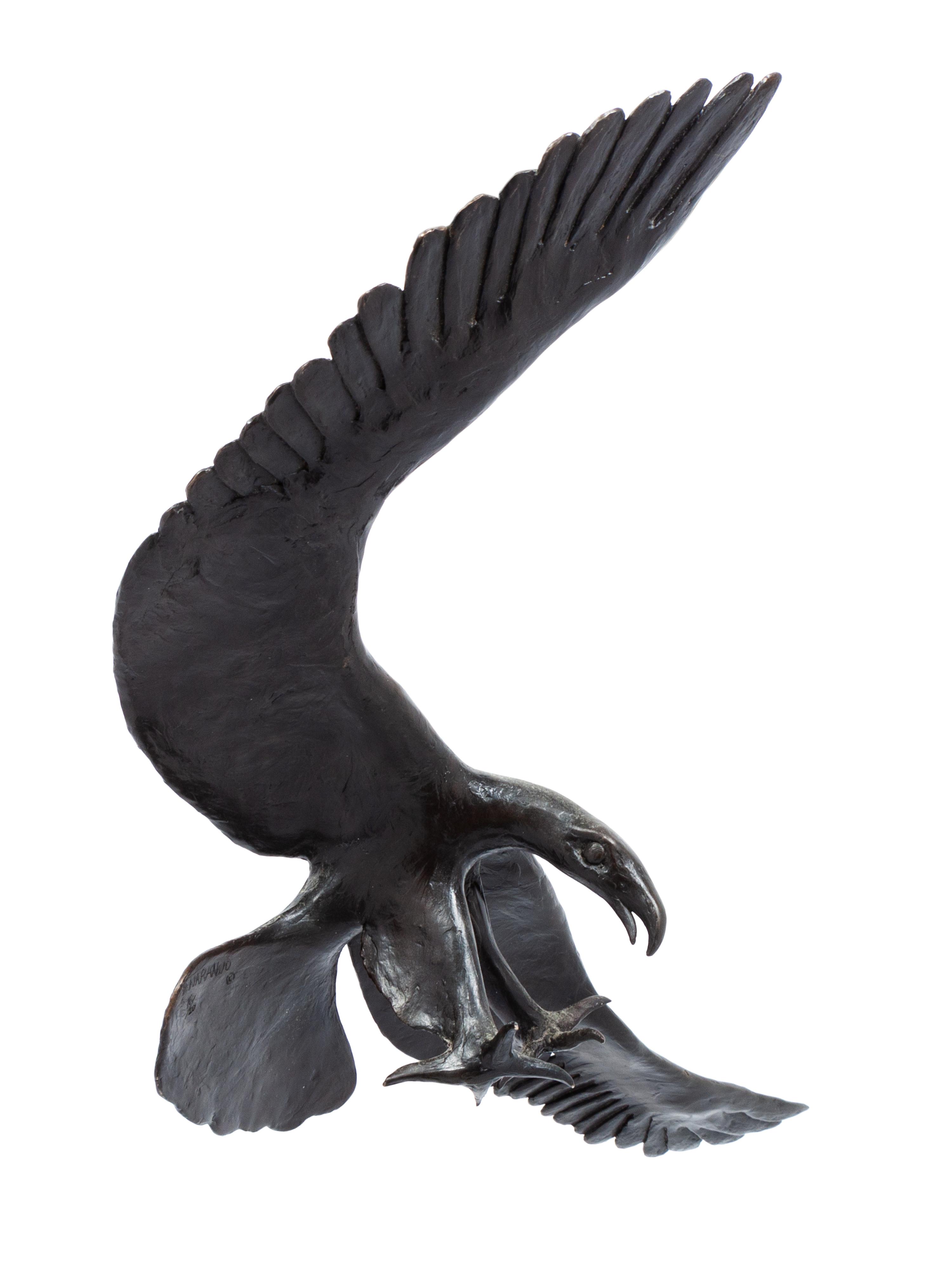 Eagle, edition 16/20