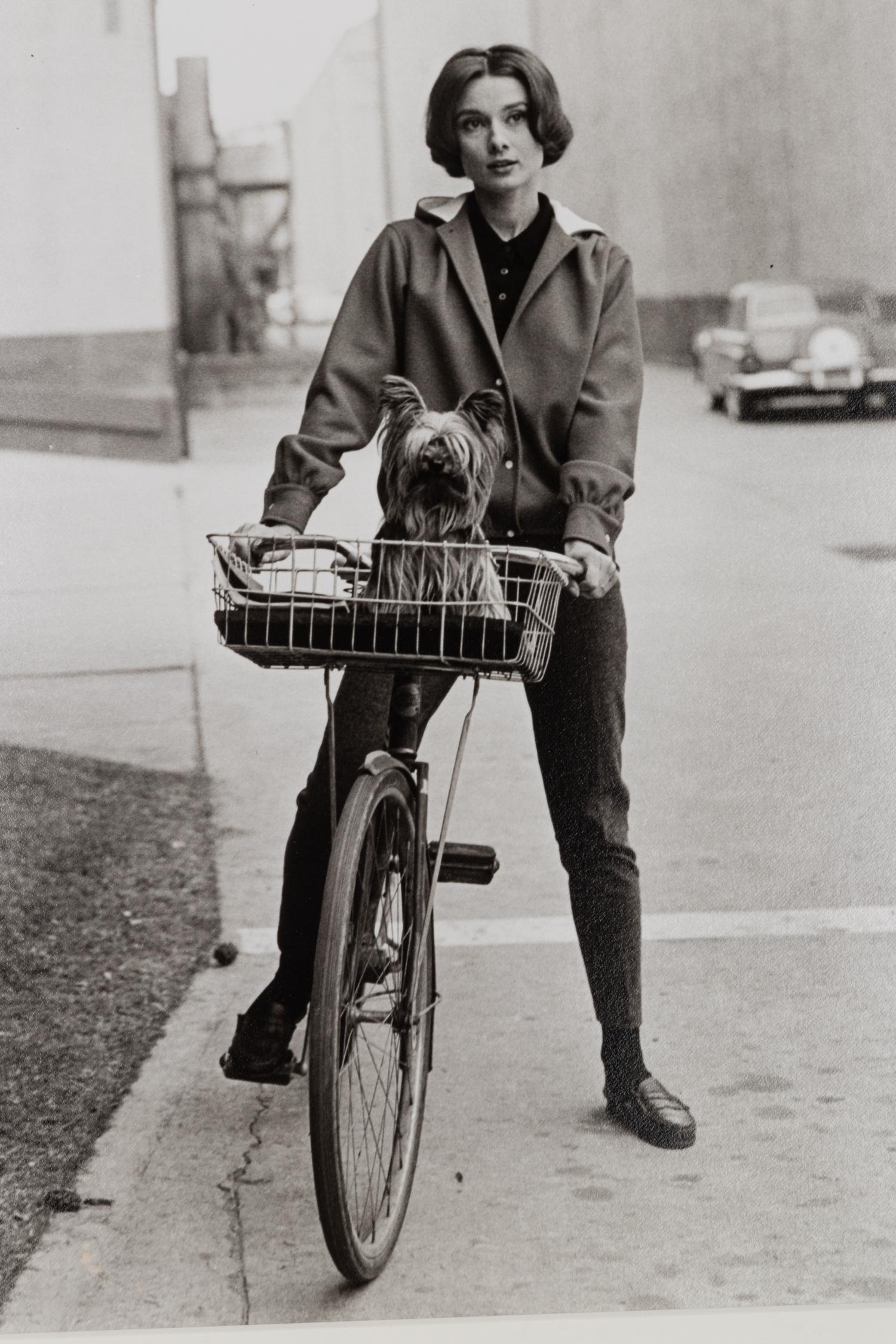 Sid Avery (1918-2002) Audrey Hepburn on her bicycle with her dog "Famous" at Paramount Studios, Los Angeles, CA, 1957