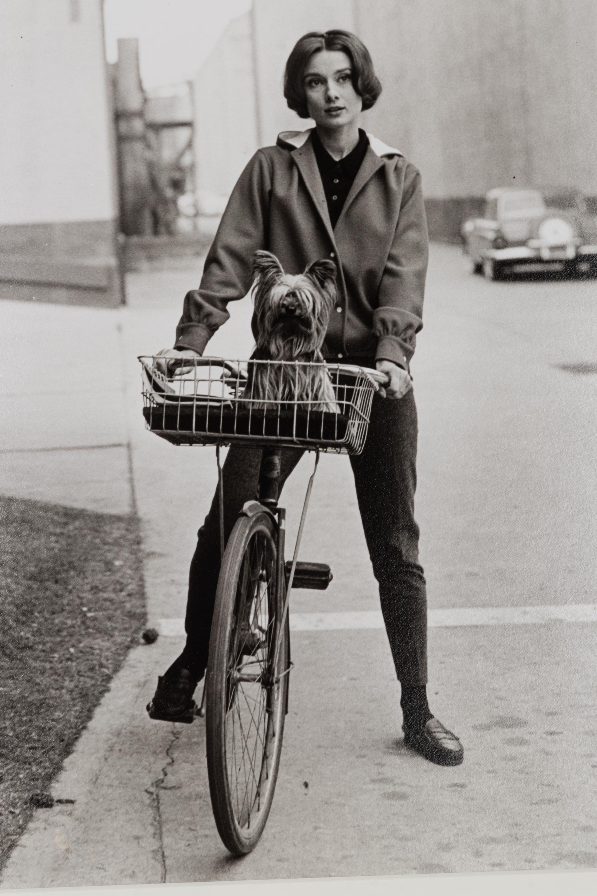 Sid Avery (1918-2002) Audrey Hepburn on her bicycle with her dog "Famous" at Paramount Studios, Los Angeles, CA, 1957