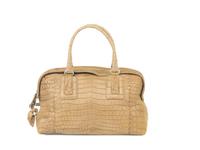 Bottega Veneta Crocodile Bag