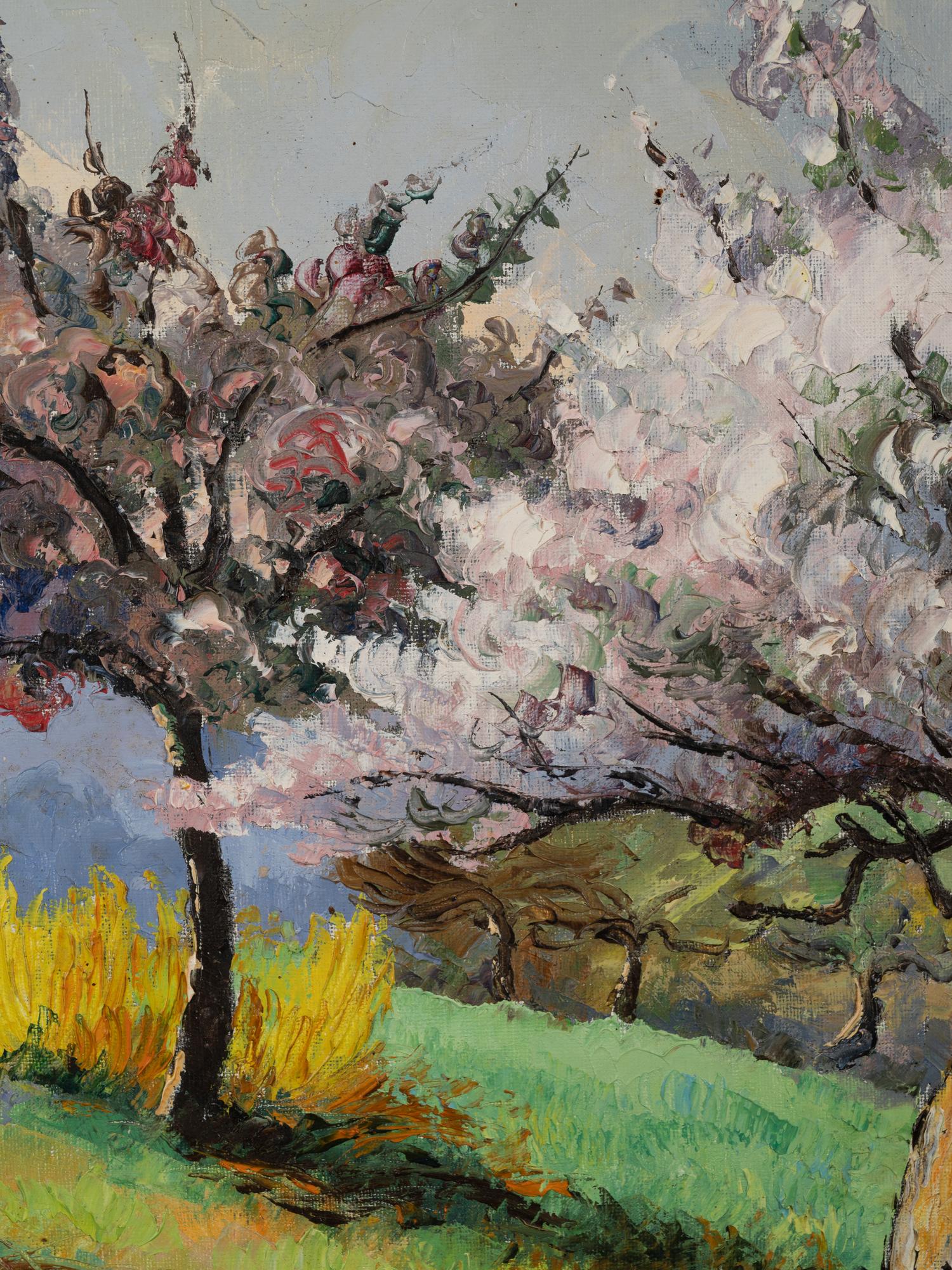 Pommiers et genêts en fleurs