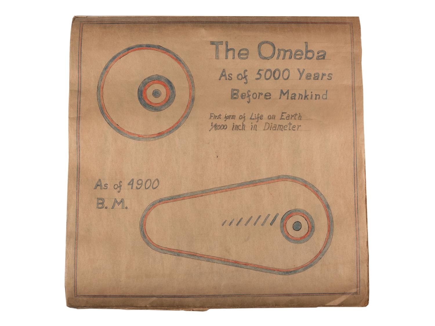 A Bound Set of Folk Art Scientific Drawings