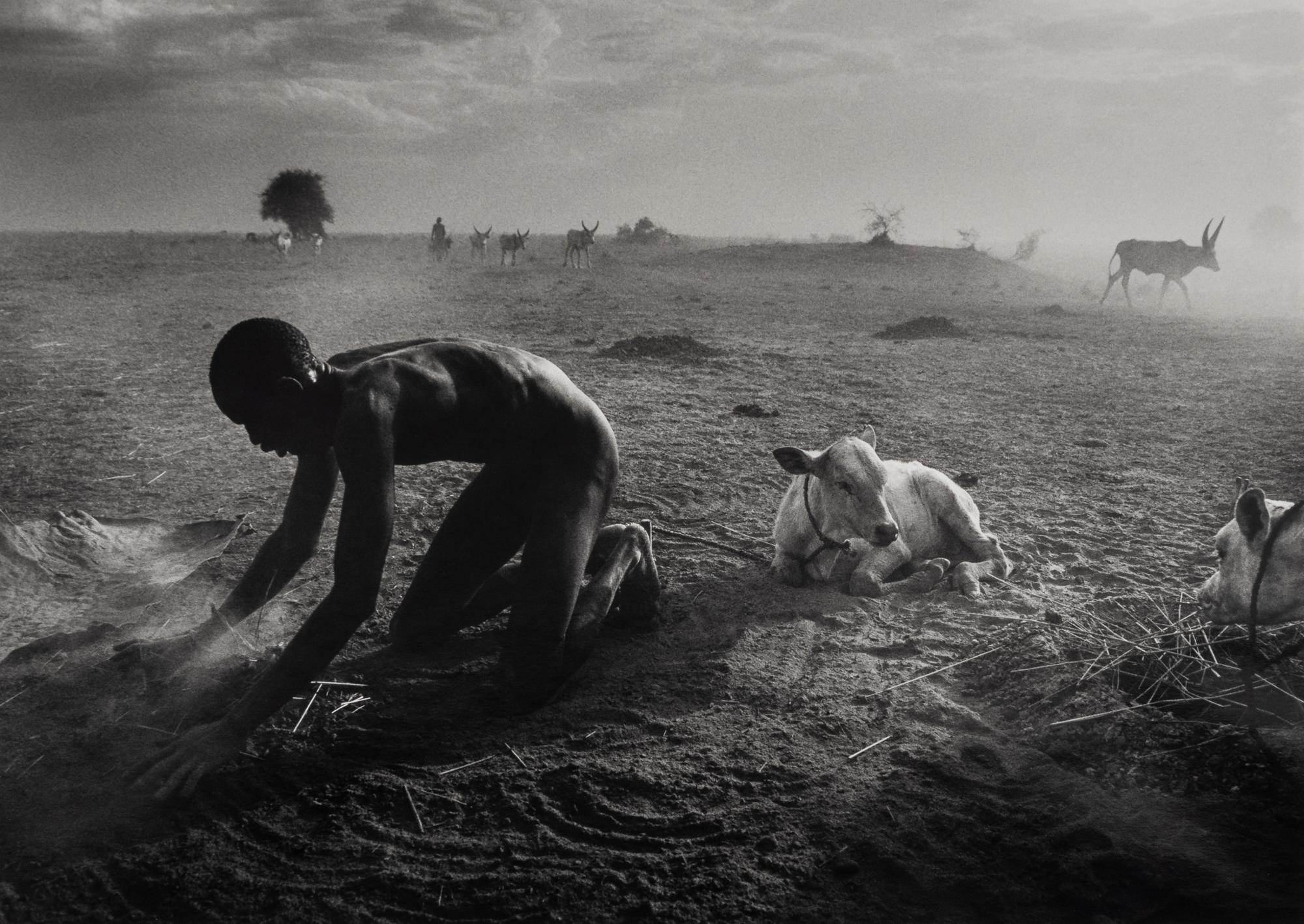 Sebastião Salgado (born 1944) Dinka Cattle Camp, Wutliet, Sudan, Africa, 2006