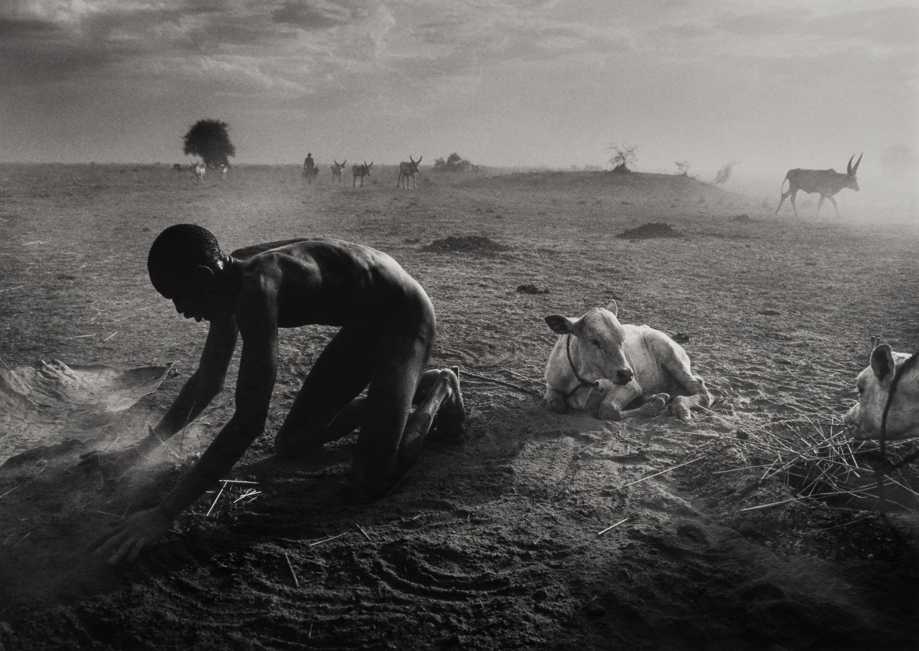 Sebastião Salgado (born 1944) Dinka Cattle Camp, Wutliet, Sudan, Africa, 2006