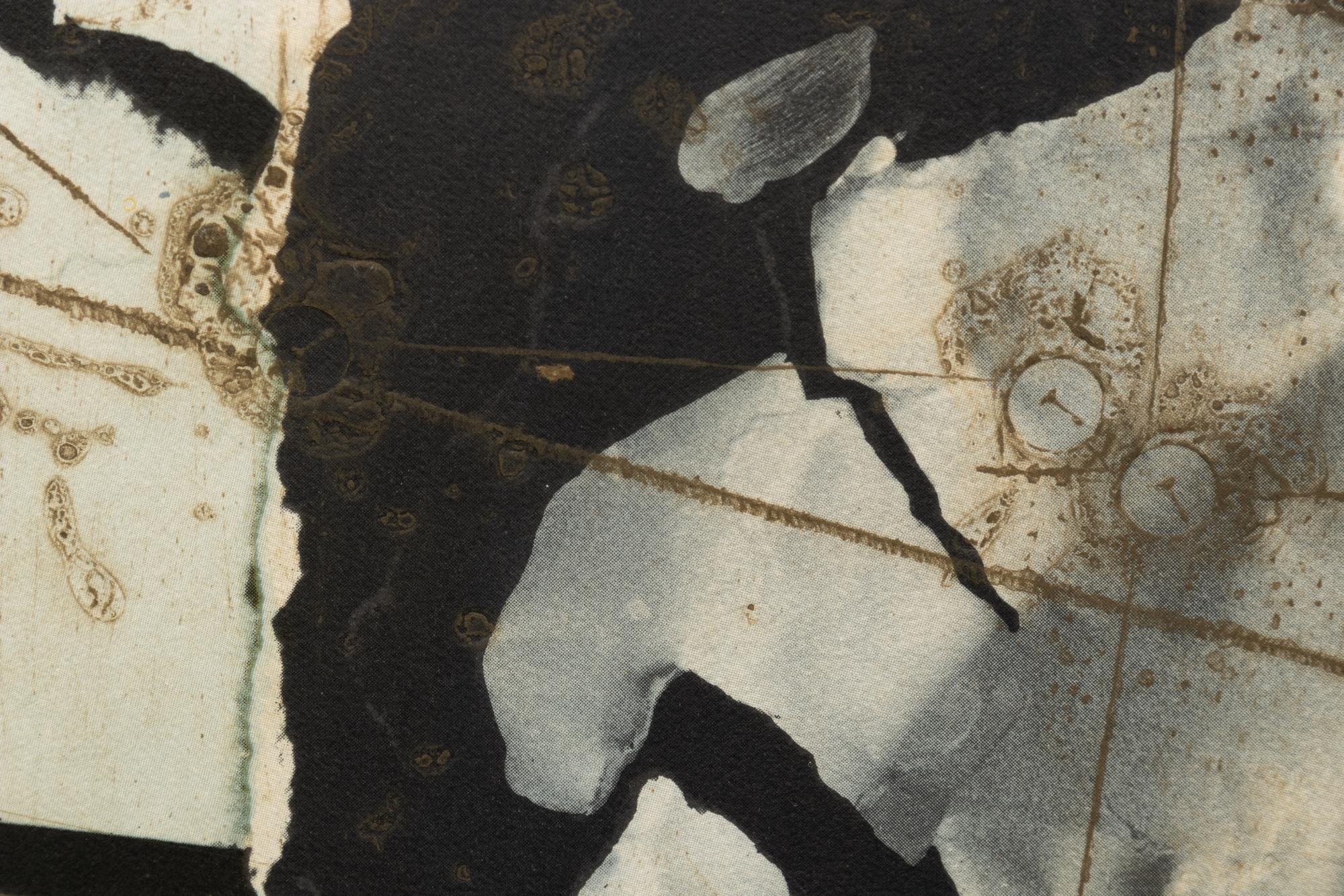 Untitled (a pair of prints)