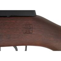 *Springfield Armory M1A