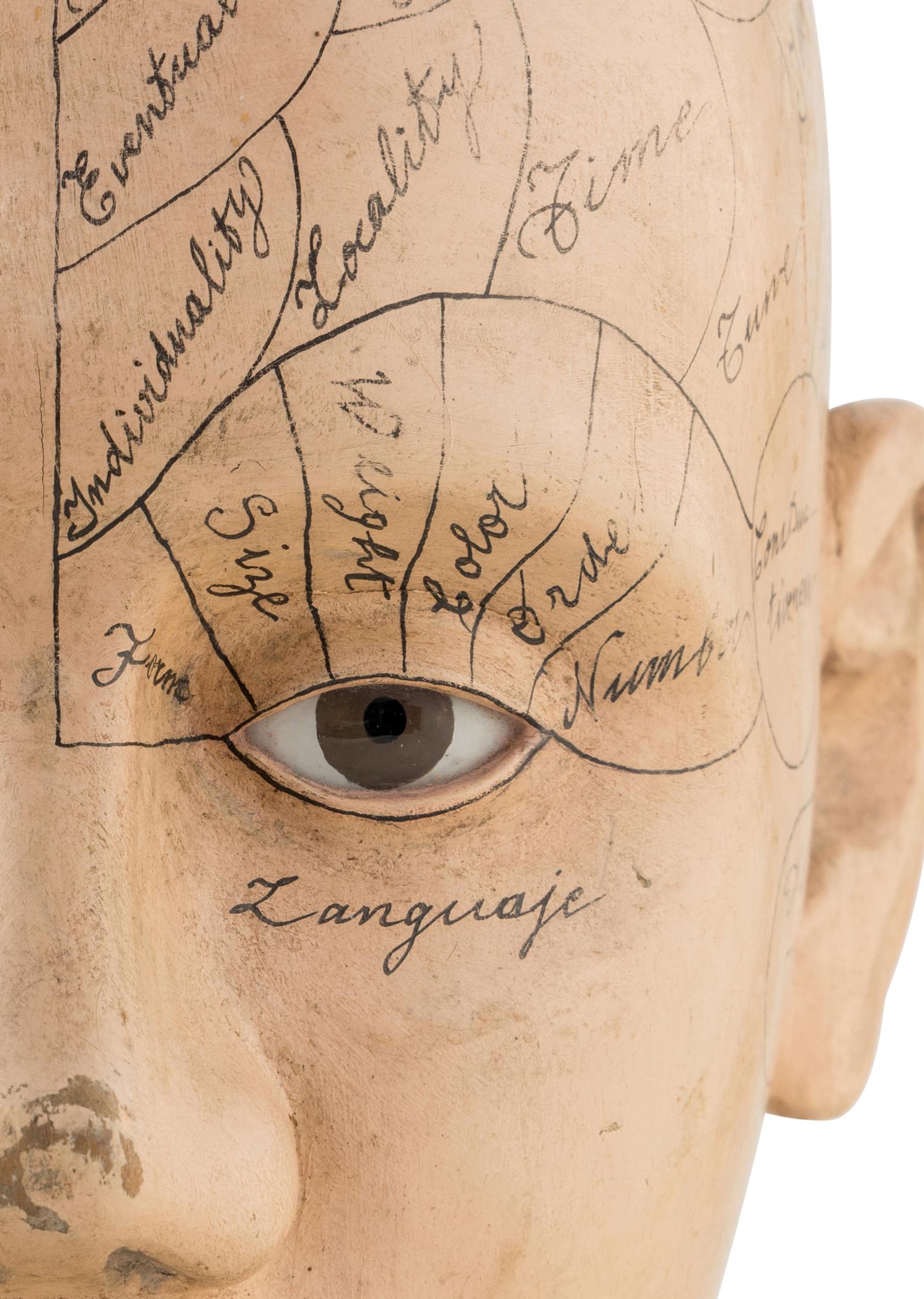 A Carved and Painted Wood Phrenology Head