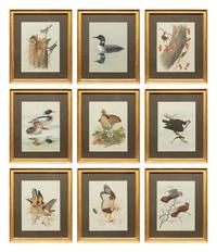 Group of Nine Works, American Bird Series, 1988