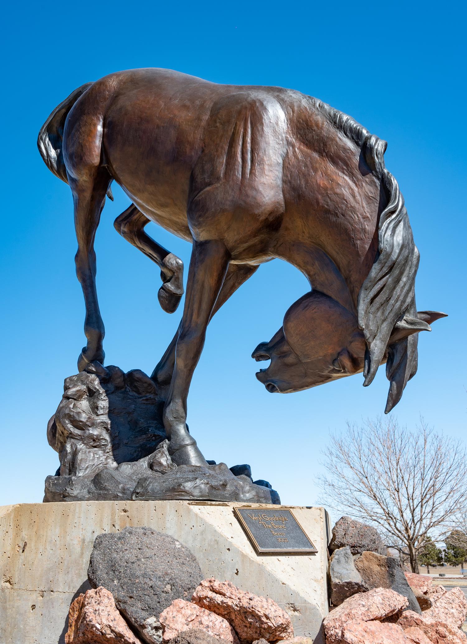 The Bronc , edition 3/5