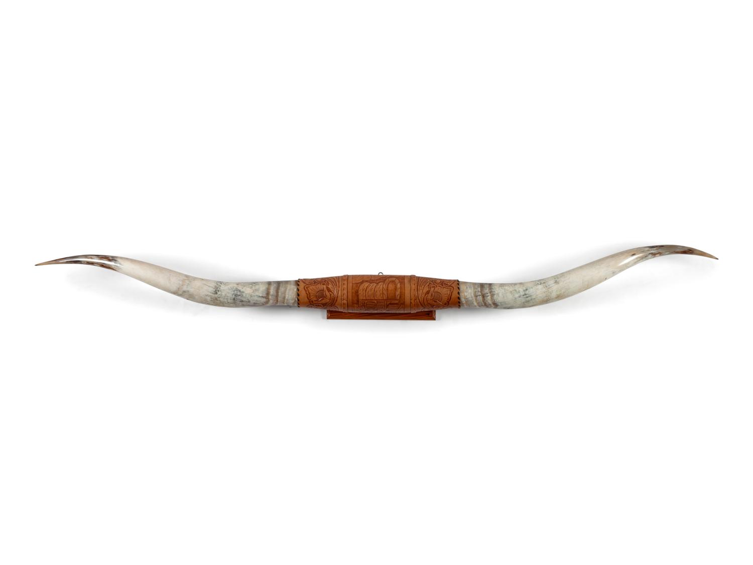 Texas Longhorn Mount