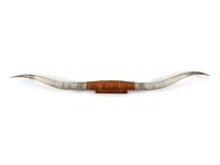 Texas Longhorn Mount