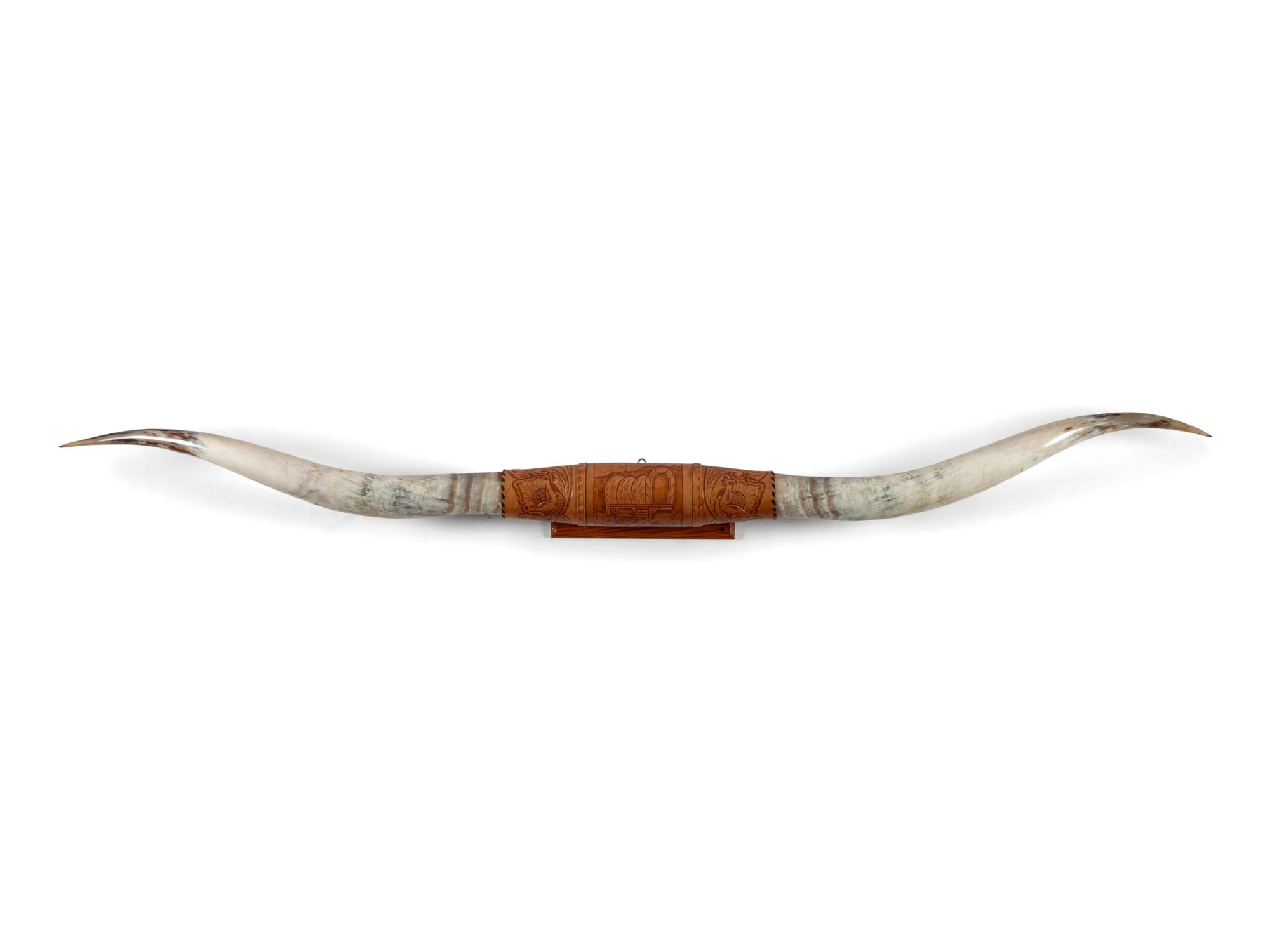 Texas Longhorn Mount