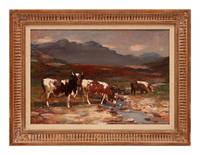Crofters Cattle