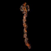 A Chinese Finely Carved Stained Bone Ruyi Scepter, Qing Dynasty — 清 木“福祿萬代”如意