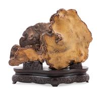 A Lingzhi Fungus