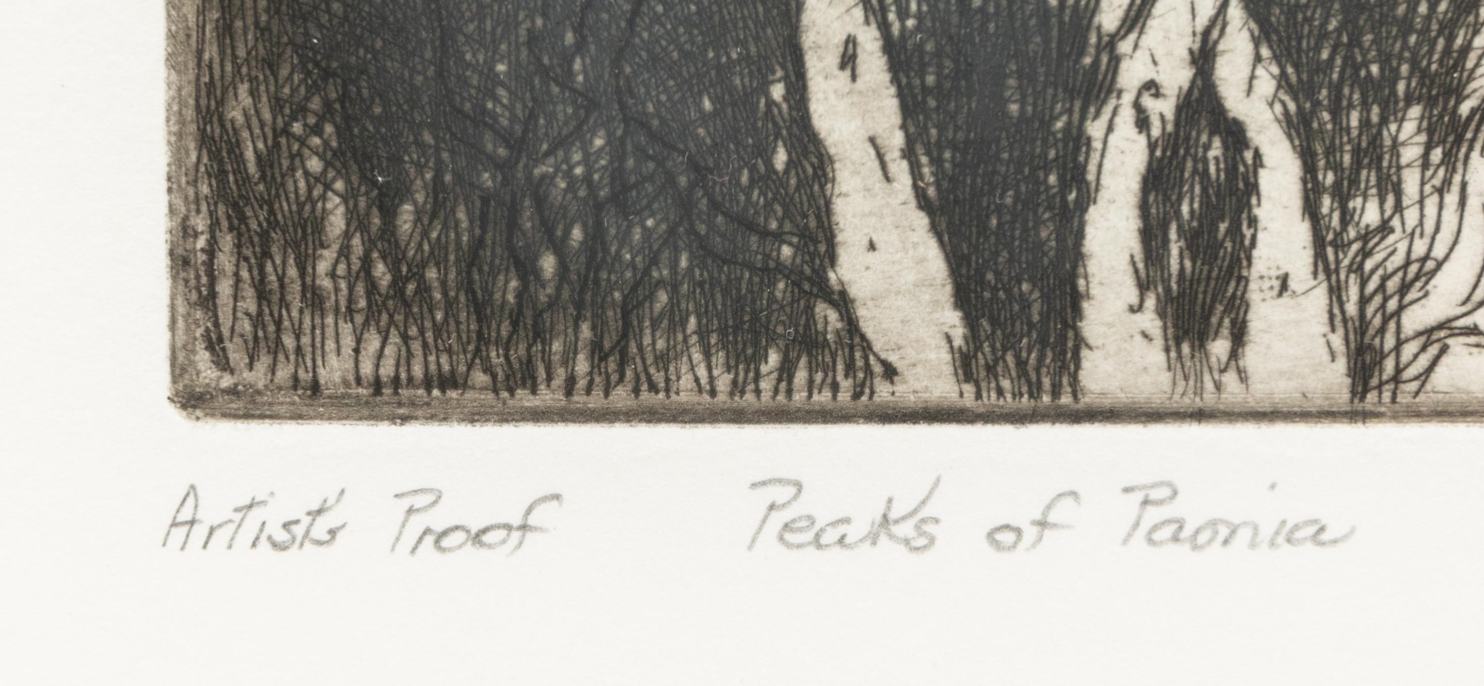 Peaks of Paonia , Artist's Proof