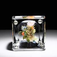 Botanical Paperweight, 2002