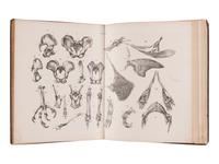 HUXLEY, Thomas Henry (1825-1895). An Elementary Atlas of Comparative Osteology . London: Williams and Norgate, 1864.