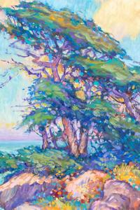Cove with Cypress