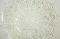 A Lalique Oursins Plate