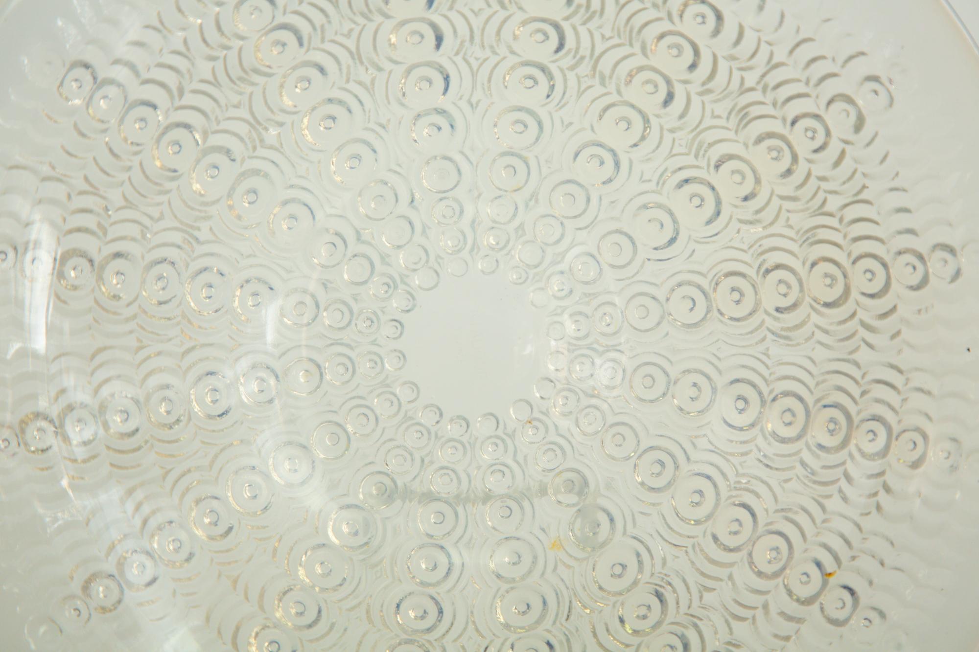 A Lalique Oursins Plate