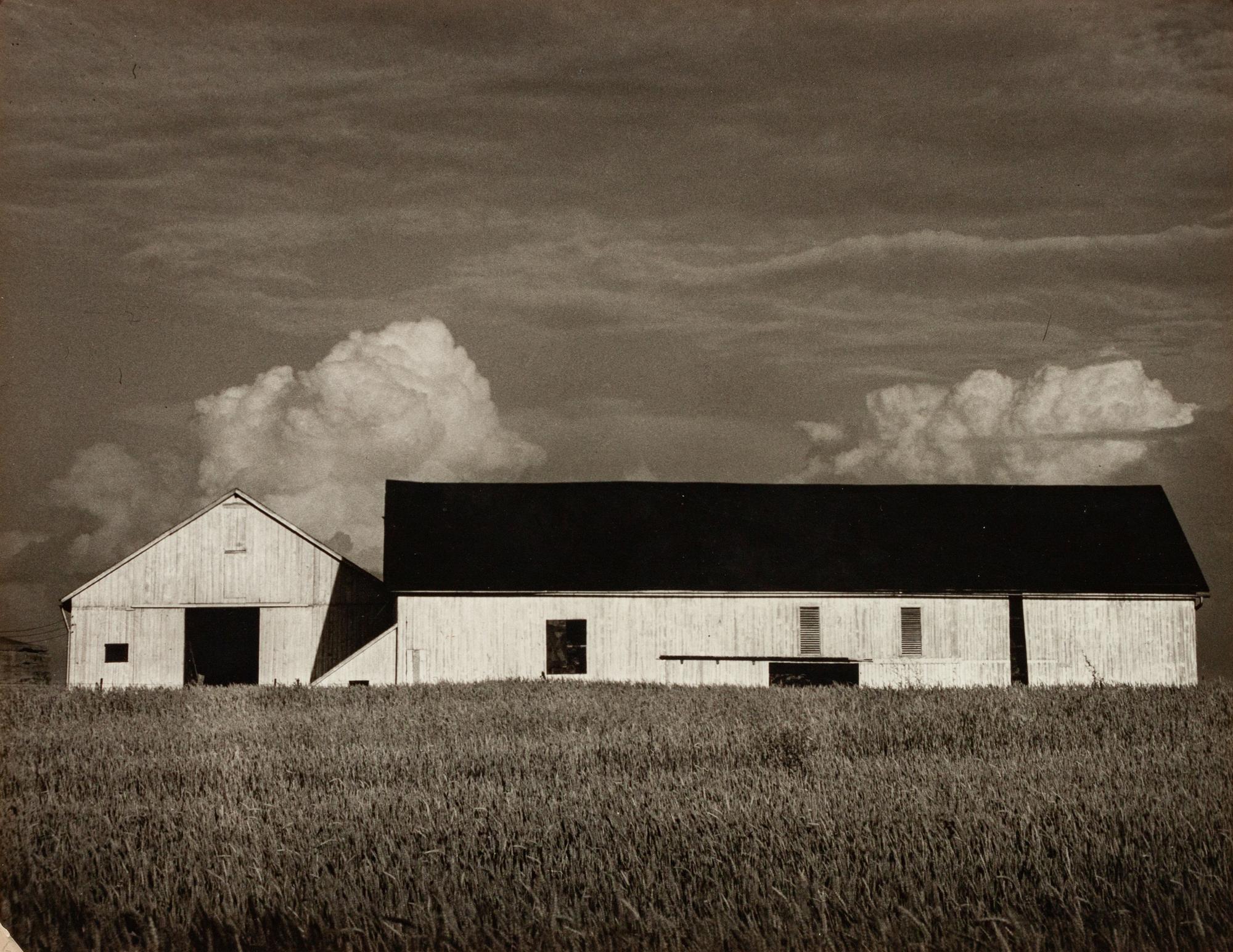 Bumper Crop, Yellow Springs, Ohio
