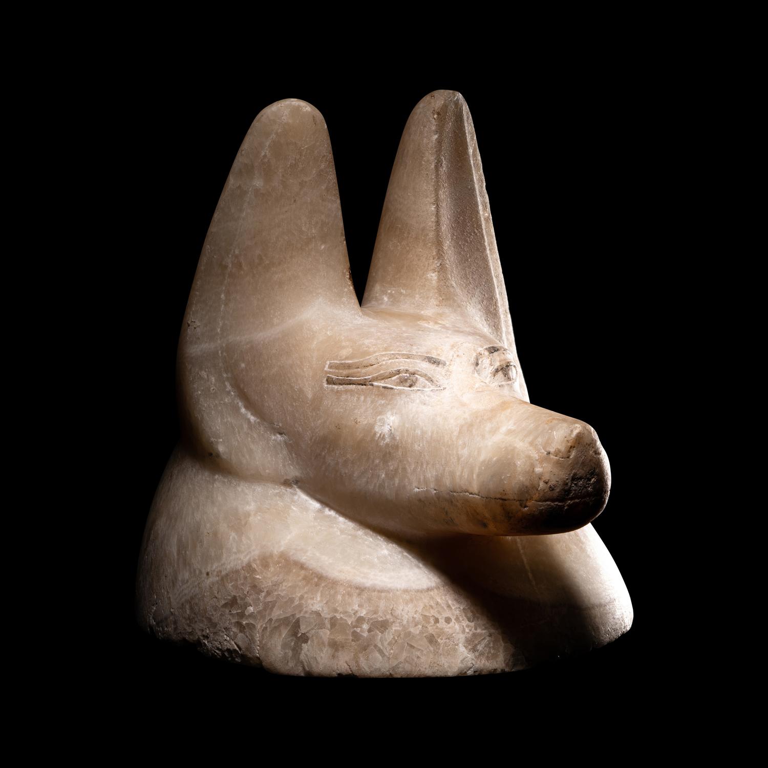 An Egyptian Alabaster Head of a Jackal