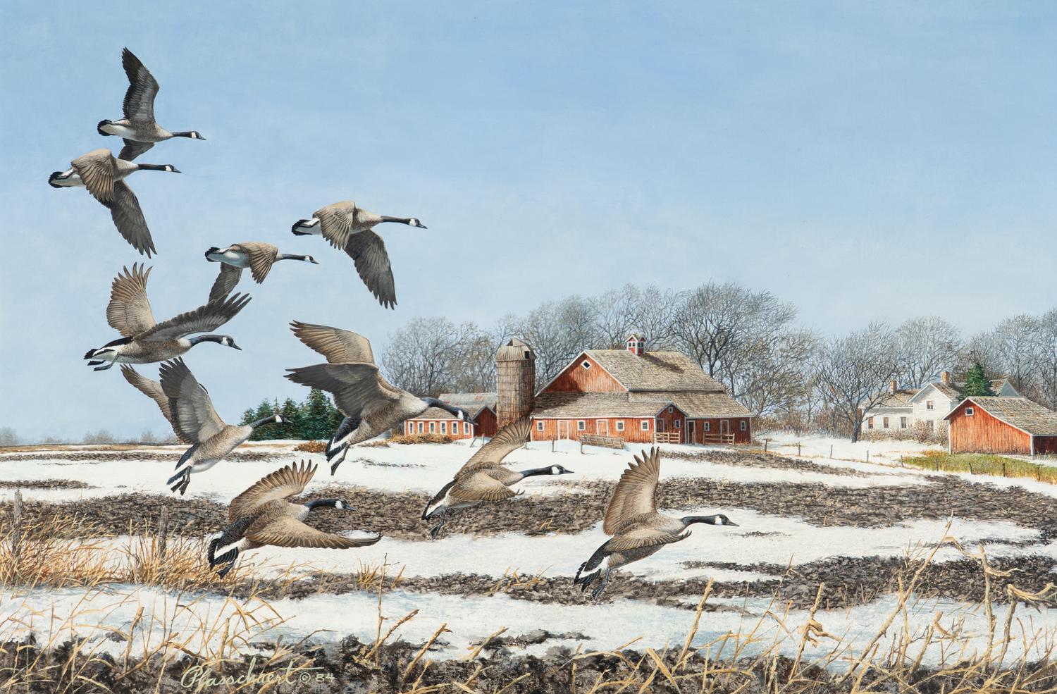 Geese in Flight, 1984